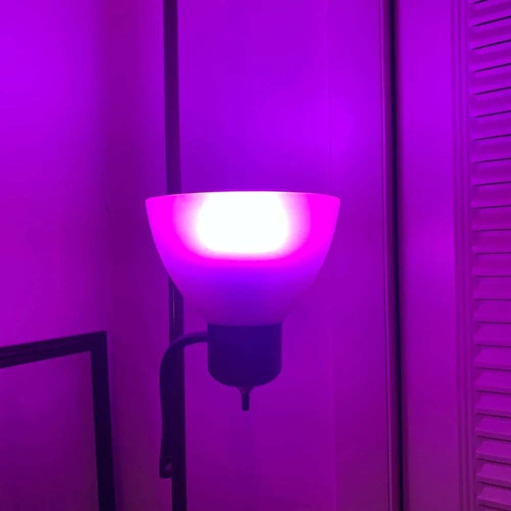 Set of (2) Purple LED light bulbs